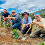 Four men planting trees outdoors with a scenic background