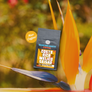 Dancing Goats Coffee Costa Rica Melico Geisha package with tropical flowers in the background