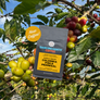 image of colombia finca pedregal Dancing Goats Coffee package with coffee cherries on a tree