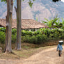 Person walking along a dirt path with greenery and mountains in the background