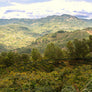 Panoramic view of a lush green landscape with rolling hills and trees under a cloudy sky.