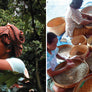 Sumatra Mutu Batak
