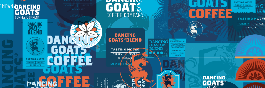 Spotlight On: Our Brand Evolution & The Stories That Inspired It