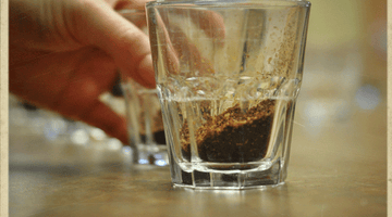 Coffee Tasting Workouts