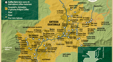 Coffee's Appellation Trail