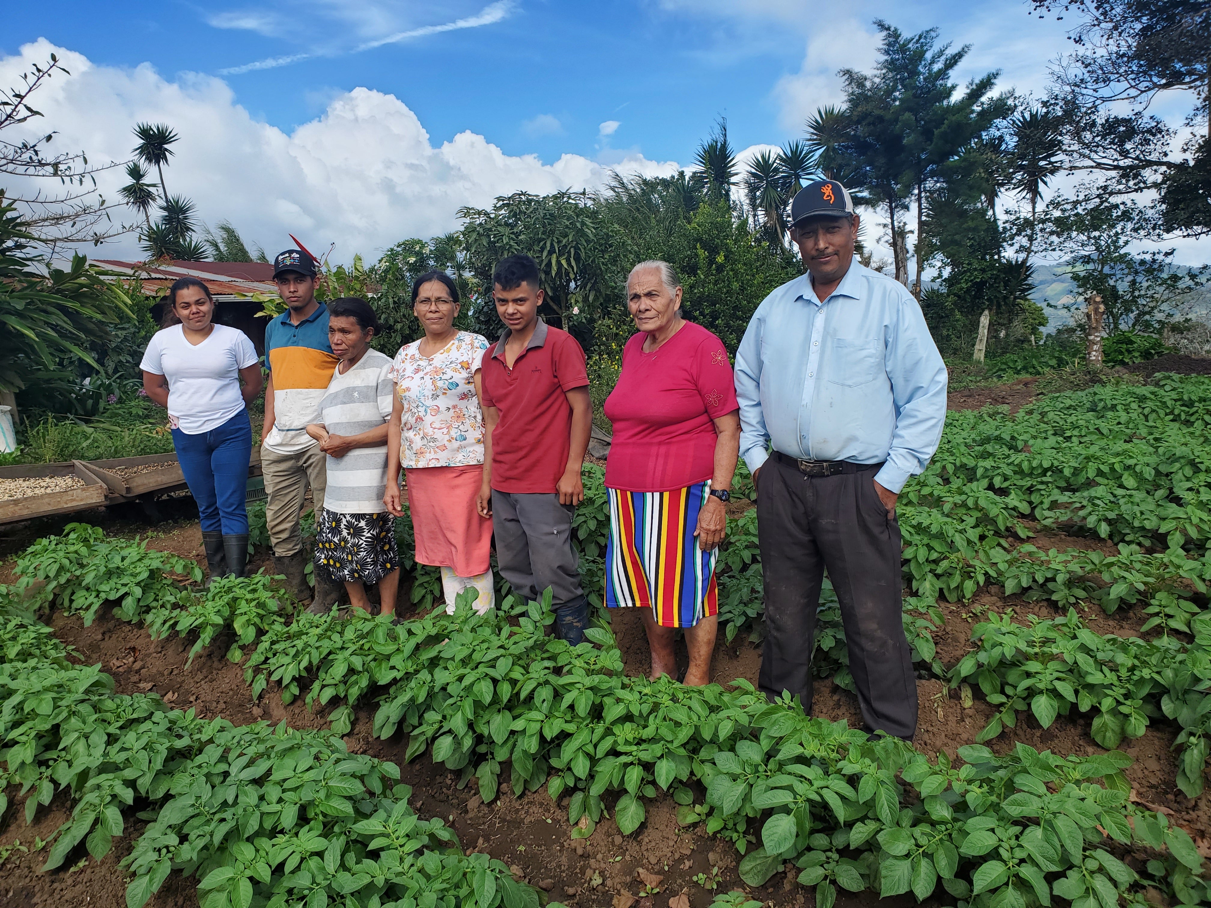 Family of coffee farmers standing in a garden with rows of coffee cherry plants