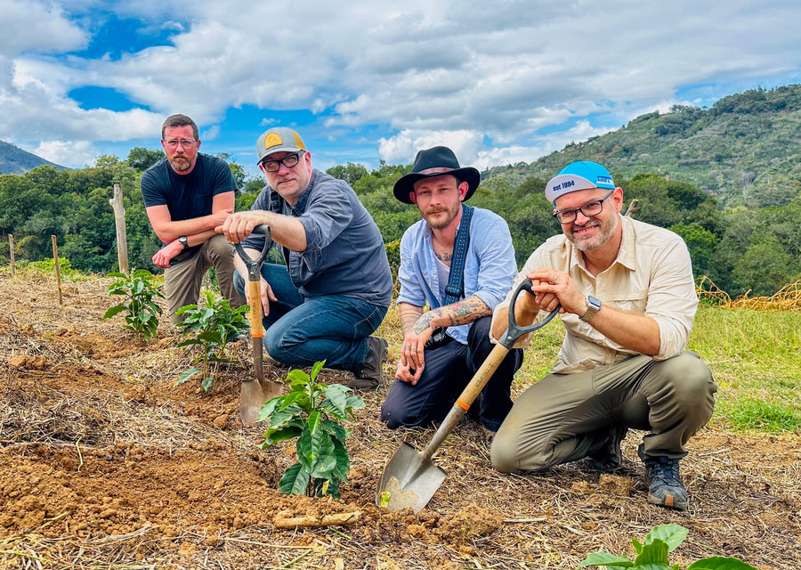 Four men planting trees outdoors with a scenic background