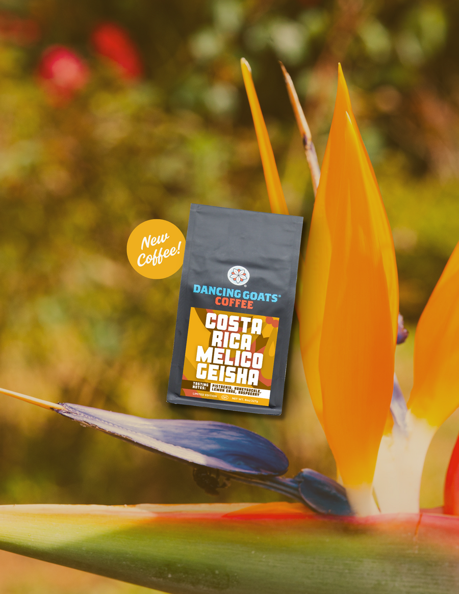 Dancing Goats Coffee Costa Rica Melico Geisha package with tropical flowers in the background