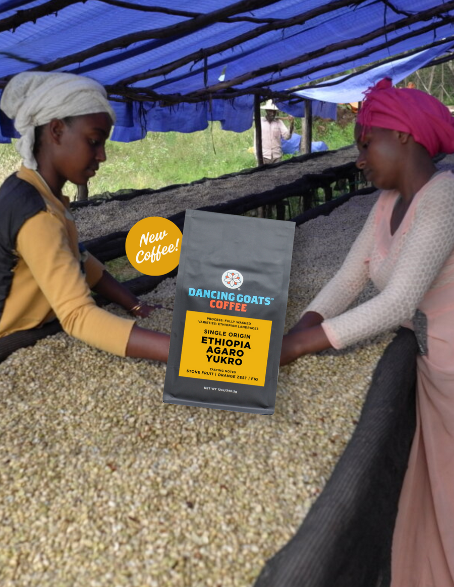 Two people working with coffee beans under a blue tarp, with a 'Dancing Goats Coffee' package overlayed.