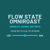 Text on a teal background describing Flow State Omniroast coffee with flavor notes and a light-dark scale.
