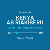 A blue graphic card with white and light blue text reading 'Single Origin KENYA AB RIAKIBERU' and 'CURRANT, NECTARINE, WHITE GRAPE,' plus a light-to-dark slider and 'Process: Washed.'.