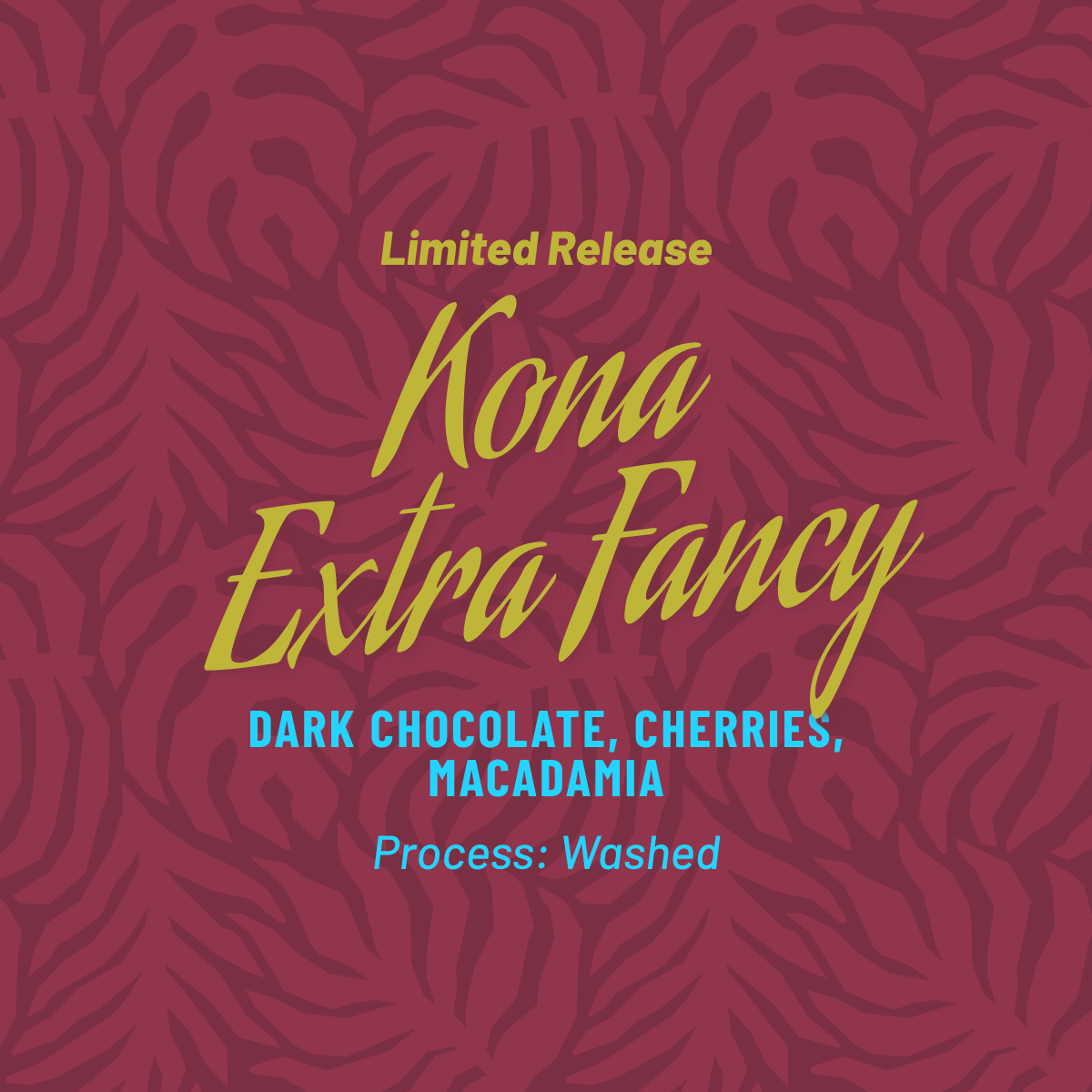 limited release kona extra fancy. dark chocolate, cherries, macadamia. process: washed