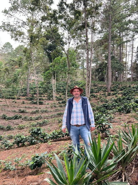 Man standing in a coffee plantation with trees and plants around