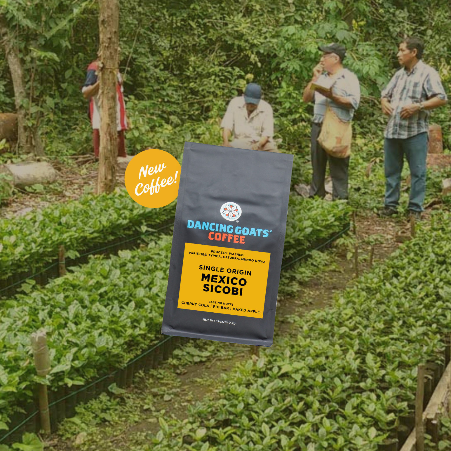 image of mexico sicobi coffee bag on photo of farm