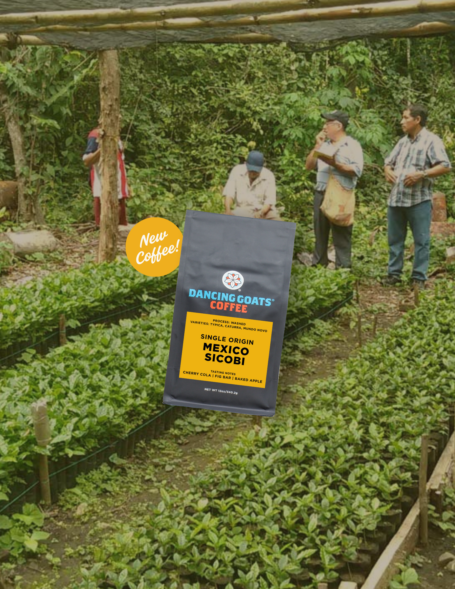 image of mexico sicobi coffee bag on photo of farm