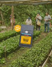image of mexico sicobi coffee bag on photo of farm