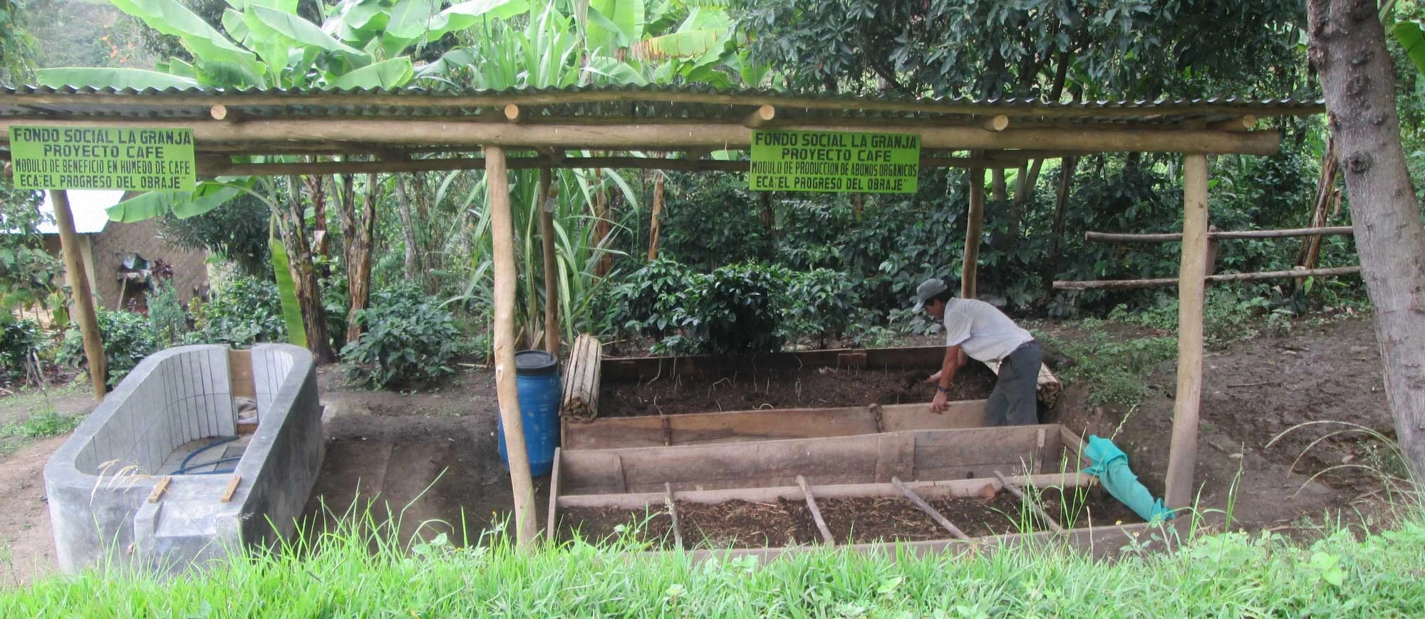 image of coffee farmer tending to crop
