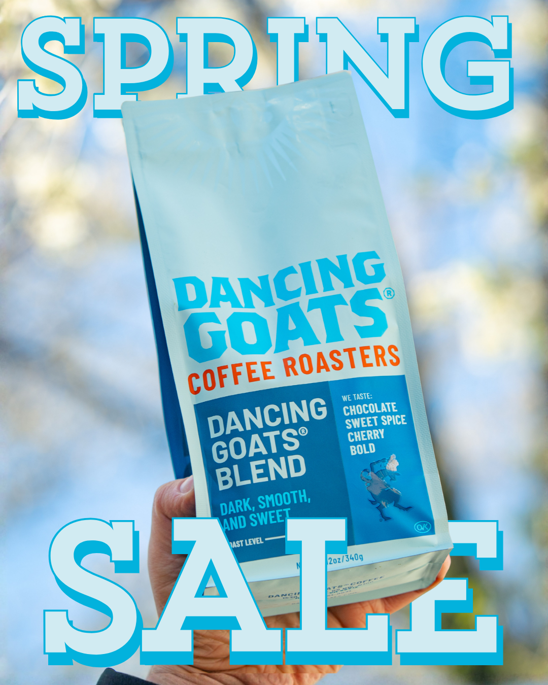 Dancing Goats Coffee Roasters bag held by a hand with 'Spring Sale' text overlay.
