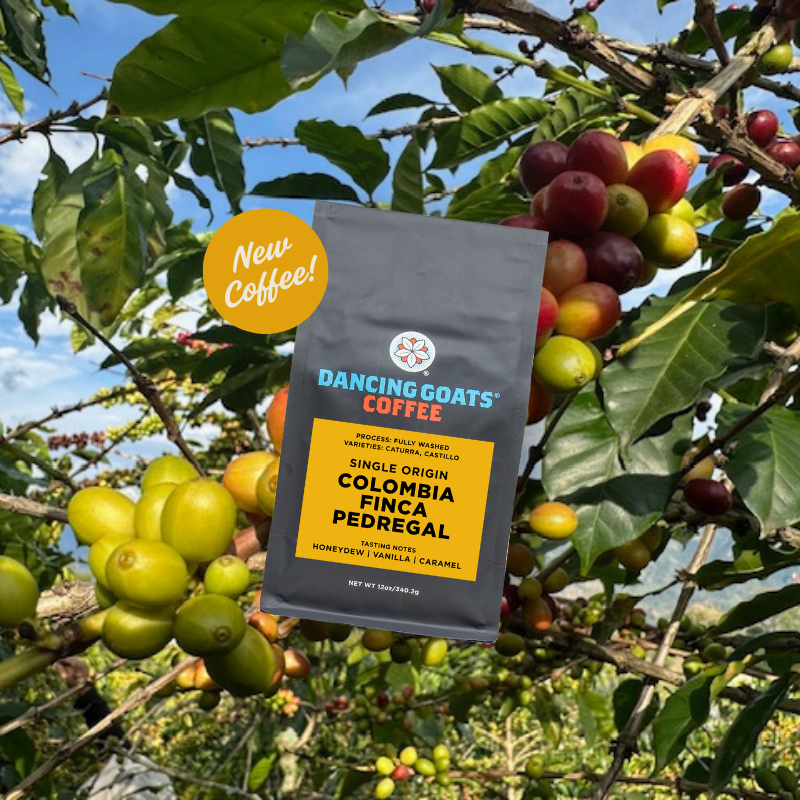 image of colombia finca pedregal Dancing Goats Coffee package with coffee cherries on a tree