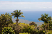 honolulu farm overlooking ocean