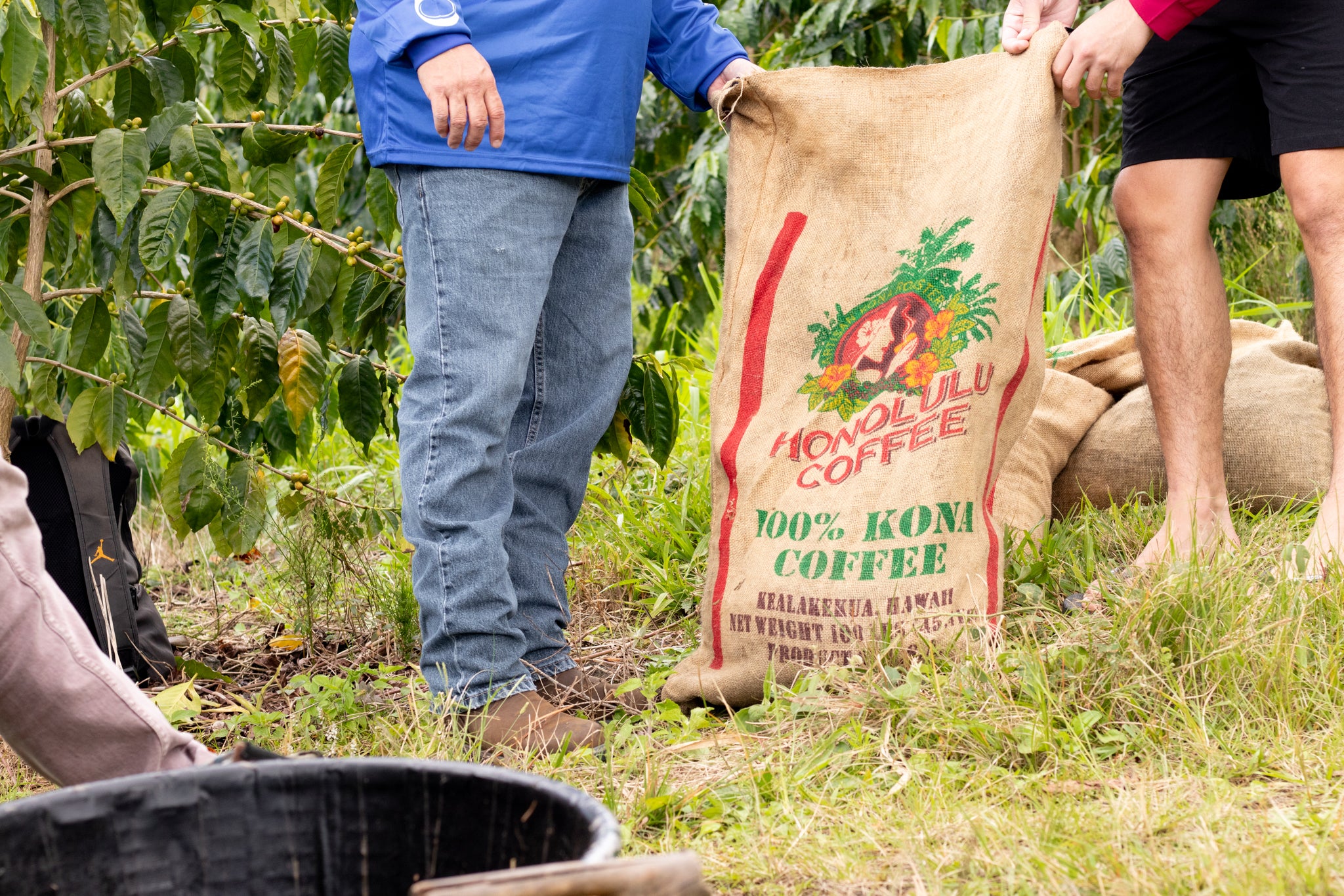 men holding open a sack of kona coffee