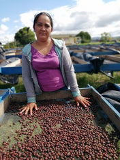 Woman sorting coffee beans in an outdoor setting